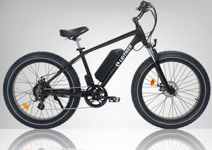 Discounted Leitner Electric Fat Bike | High Power 500W (OFF-ROAD) - BLACK with 9.6Ah battery - 65km on odo, signs of usage with minor marks on frame