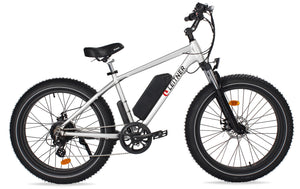 Discounted Leitner Electric Fat Bike | High Power 500W (OFF-ROAD) - BLACK with 9.6Ah battery - 65km on odo, signs of usage with minor marks on frame