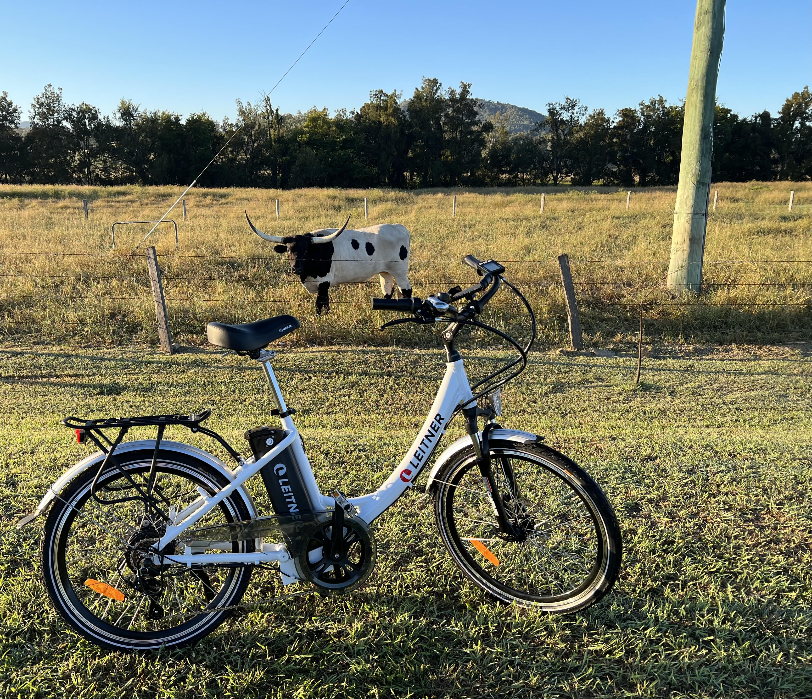 White Leitner Milan Cruiser in a grassy field, owner photo