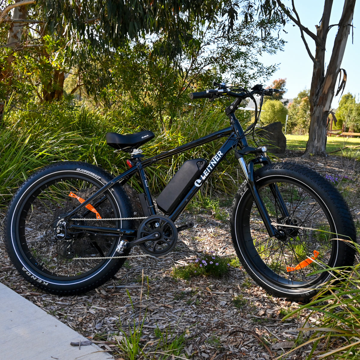 Leitner Electric Fat Bike High Power, feature display