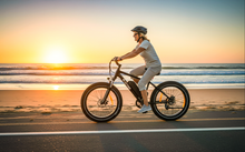 Load image into Gallery viewer, Leitner Electric Fat Bike | High Power 500W