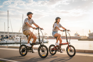 16" Light-Weight Folding Ebike | Leitner Aria