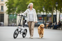 Load image into Gallery viewer, 16&quot; Light-Weight Folding Ebike | Leitner Aria