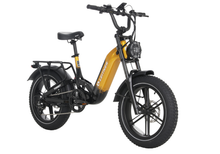 Load image into Gallery viewer, 20" Fat Tyre Dual Suspension Electric Bike | Leitner Torrey