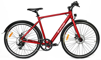 LEITNER Ultimate 700C Electric Bike