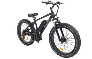 Leitner Electric Fat Bike | High Power 500W
