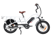 Load image into Gallery viewer, 20" Fat Tyre Cargo Electric Bike | Leitner Atlas