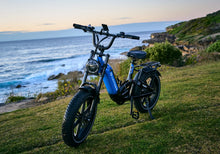 Load image into Gallery viewer, 20" Fat Tyre Dual Suspension Electric Bike | Leitner Torrey