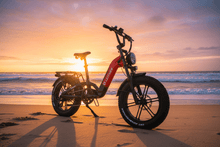 Load image into Gallery viewer, Leitner Torrey Electric Bike Beach Sunset