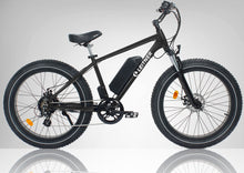 Load image into Gallery viewer, Leitner Electric Fat Bike | High Power 500W