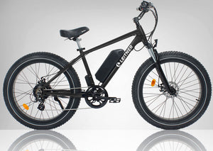 Leitner Electric Fat Bike | High Power 500W