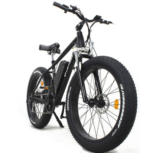 Leitner Electric Fat Bike