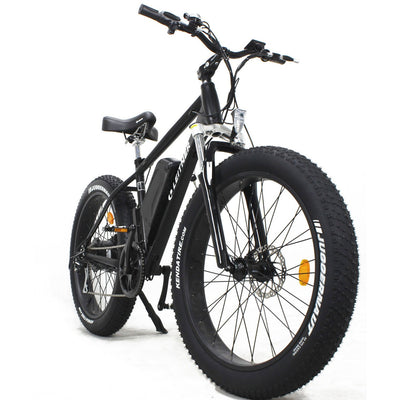 Electric Fat Bike Leitner Front